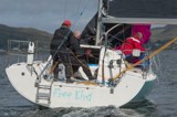 free bird gbr5190l whyw24 thurs whyw24 thur 800 5842
